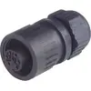 Image de Hirschmann 934 125-100-1 934125100 Ronde connector Koppeling, recht Totaal aantal polen: 3 + PE Serie (ronde connectoren): CA 1 stuk(s)