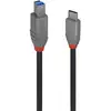 Image de LINDY 36668 USB-kabel USB 3.2 Gen1 USB-C stekker, USB-B stekker 3.00 m Zwart