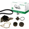 Image de INA 530 0161 30 Pompe à eau + kit de courroie de distribution