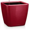 Image de Lechuza   Pot de Fleurs d'Interieur   Premium Quadro Ls   Réserve d'Eau Intégrée   Coloris Rouge Scarlet   50 x 50 x 47 cm