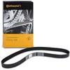 Image de Continental Contitech CT939 Courroie crantée