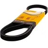 Image de Continental Contitech 4PK850 Courroie trapézoïdale à nervures