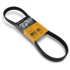 Image de Continental Contitech 6PK894 Courroie trapézoïdale à nervures