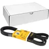 Image de Continental Contitech 6PK2155 Courroie trapézoïdale à nervures