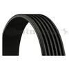 Image de Continental Contitech 6PK780 ELAST Courroie trapézoïdale à nervures