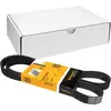 Image de Continental Contitech 6PK1270 Courroie trapézoïdale à nervures