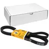 Image de Continental Contitech 6PK2498 Courroie trapézoïdale à nervures