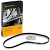 Image de Continental Contitech CT637 Courroie crantée