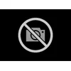 Image de MANN-FILTER SP 3022-2 Filtre à air - APPLICATIONS NON ROUTIÈRES