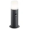 Image de Trio Leuchten Hoosic 522260142 Lampadaire d'extérieur en aluminium, anthracite/blanc, détecteur de mouvement