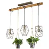 Image de TRIO, Suspension, Plant 3xE27, max.40,0 W Verre, Transparent claire, Corps: Métal, nickel antique L:115,0cm, L:22,0cm, H:150,0cm IP20,Sans illuminant,Réglable en hauteur