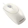 Image de CHERRY WheelMouse Souris optique filaire pour droitiers et gauchers Gris clair