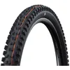 Image de SCHWALBE Tacky CHAN Trail PRO, TLR