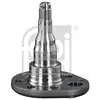 Image de FEBI BILSTEIN Bout d'essieu, Corps de l'essieu pour VOLKSWAGEN: Golf, Polo, Passat, Golf Cabriolet, Vento, Jetta & SEAT: Cordoba, Ibiza (Ref: 18348)