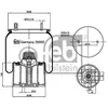 Image de FEBI BILSTEIN Soufflet à air, suspension pneumatique (Ref: 39995)