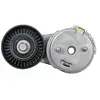 Image de FEBI BILSTEIN Galet tendeur de courroie d'accessoire pour VOLKSWAGEN: Crafter, Passat & AUDI: Cabriolet, 80, A6 & BMW: Série 5 (Ref: 43680)