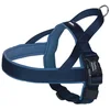 Image de Nobby Classic Preno Harnais Norvégien pour Chien Bleu, L