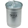 Image de Meyle 100 127 0006 Filtre à carburant