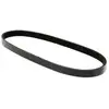 Image de MEYLE Courroie trapézoïdale à nervures pour FIAT: Palio, Marea, Stilo, Multipla, Brava, Bravo & LANCIA: Lybra, Delta (Ref: 050 003 0670)