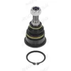 Image de Rotule de suspension moog bm-bj-10485