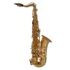Image de Roy Benson Eb-Alt Saxophone pour enfants AS-201 (Spécialement conçu pour les enfants, y compris un chiffon de nettoyage, avec sangle de harnais, avec garniture de sac à dos)