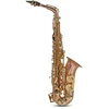 Image de Roy Benson Saxophone alto mi bémol AS-202G (Corps en bronze luxueux, clés en laiton laqué, clé de fa# aigu, bascule si/si, embouchure premium, étui rectangulaire léger, fonction sac à dos pratique)
