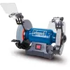 Image de Scheppach Ponceuse double SM200L | Puissance 500 W | Protection anti-étincelles réglable | Disque abrasif 200 mm de diamètre | Lampes de travail LED | Armature en fonte grise