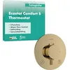 Image de hansgrohe Ecostat Comfort S - Mitigeur de douche thermostatique, Robinet de douche encastré avec arrêt de sécurité (SafetyStop) à 40°C, Thermostat 2 sorties, Aspect doré poli, 33715990