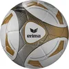 Image de Erima Ballon d'entraînement hybride pour adulte (7192508), blanc/doré, 5