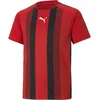 Image de PUMA Teamliga Striped Jersey Jr Shirt Mixte enfant