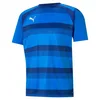 Image de PUMA Teamvision Jersey Jr Shirt Mixte Enfant