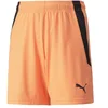 Image de PUMA Short Teamliga Jr - Shorts - Sport - Mixte Enfant