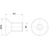 Image de HELLA 8DZ 355 209-061 Vis, disque de frein PAG0006-16.1mm - M8x1,25 - héxagonal intérieur