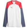 Image de PUMA Individualcup Sweat zippé 1/4 pour homme