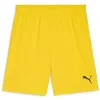 Image de PUMA teamGOAL Short