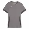 Image de PUMA teamGOAL Matchday Jersey WMNS Maillot de football unisexe pour adulte Cast Iron Puma White-Shadow Gris