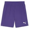 Image de PUMA teamGOAL Short