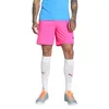 Image de PUMA teamGOAL Short