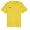 Image de PUMA Teamgoal Jr T-shirt unisexe en jersey