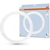 Image de OSRAM Tube LED T9C Em 32, tube LED circulaire, 18,3 W, 2200 lm, 4000 K, lumière blanche froide, alternative aux lampes fluorescentes T9 classiques, longue durée de vie, faible consommation d'énergie