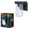 Image de OSRAM Applique extérieure E27 verre clair, design moderne en aluminium gris foncé, protection IP44, antichoc IK03, applique pour terrasse et balcon