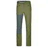 Image de ORTOVOX Brenta Pantalon M Wild Herbs 30 pour homme