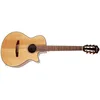 Image de Ibanez AEG50N Natural