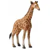 Image de Collecta Figurine Girafe