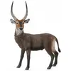 Image de Collecta Figurine D'antilope Aquatique