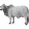 Image de CollectA Brahman Cow