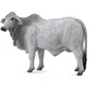 Image de Collecta Figurine De Vache Brahman