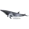 Image de Collecta Figurine Baleine Minke Xl