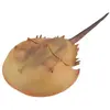 Image de Collecta Figurine Crabe Fer à Cheval Xl