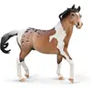 Image de Collecta Étalon Pintoloosa De Mustang Bay